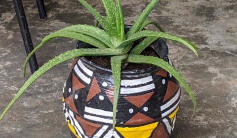 Pot de fleur Africa