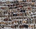 boucles d’oreilles